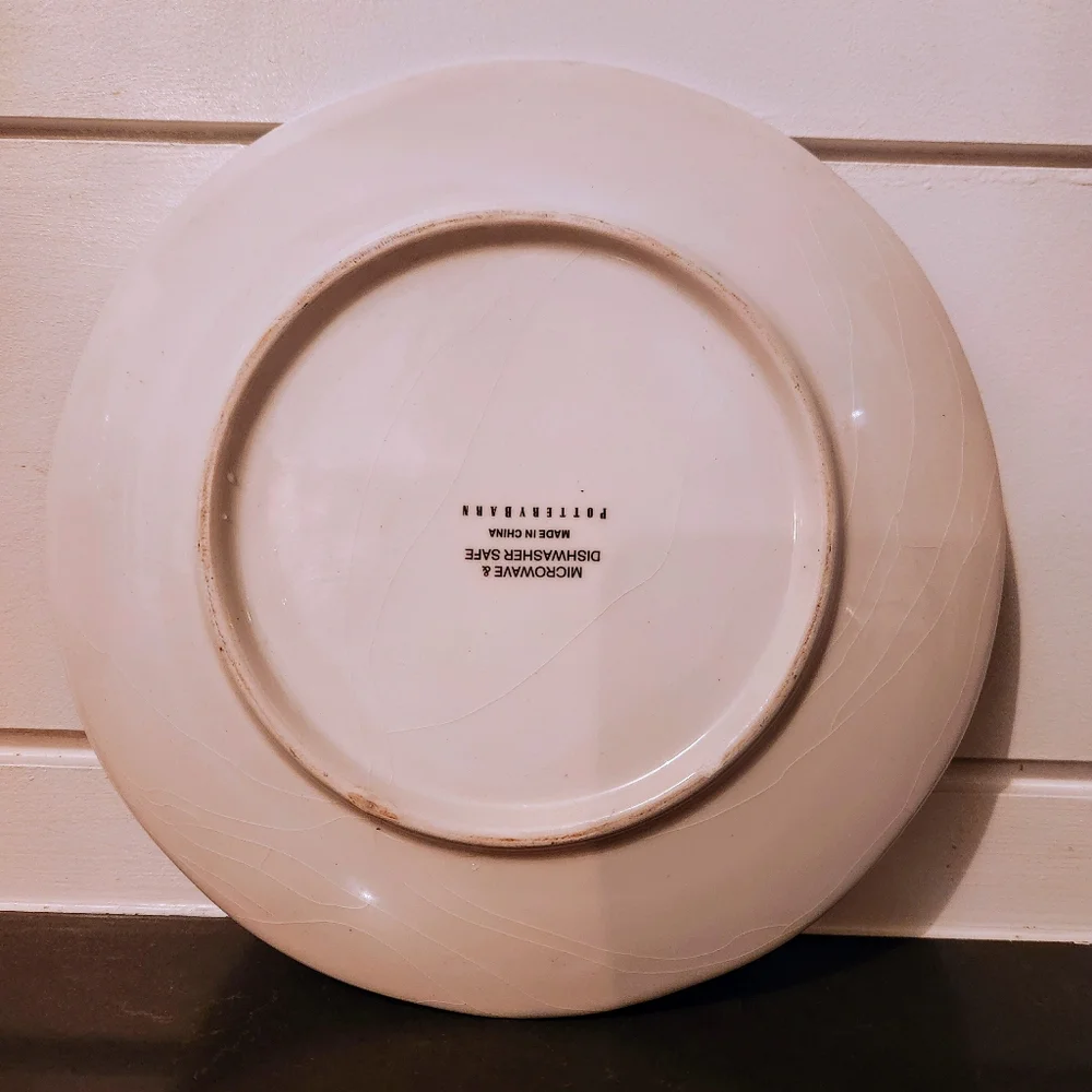 POTTERY BARN Set Of 4 Leopard Print 8 Inch Salad Plates